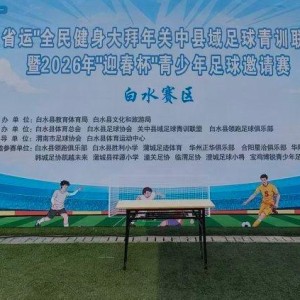 开云体育app下载-青少年绿茵逐梦展风采 “迎春杯”足球赛在陕西白水县激情开赛